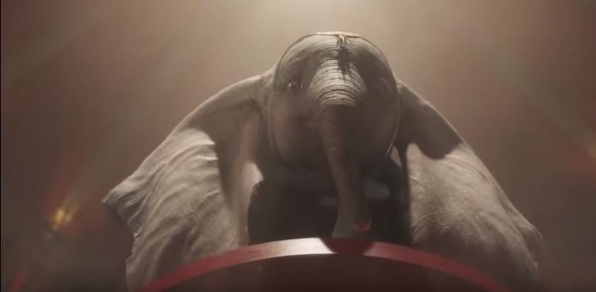 Dumbo abre discussão sobre animais em espetáculos circenses