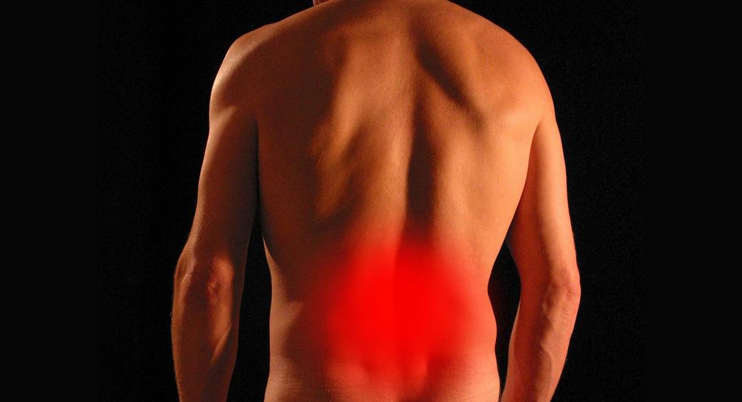 Cálculos renais podem ocorrer por questões genéticas ou por dieta inadequada