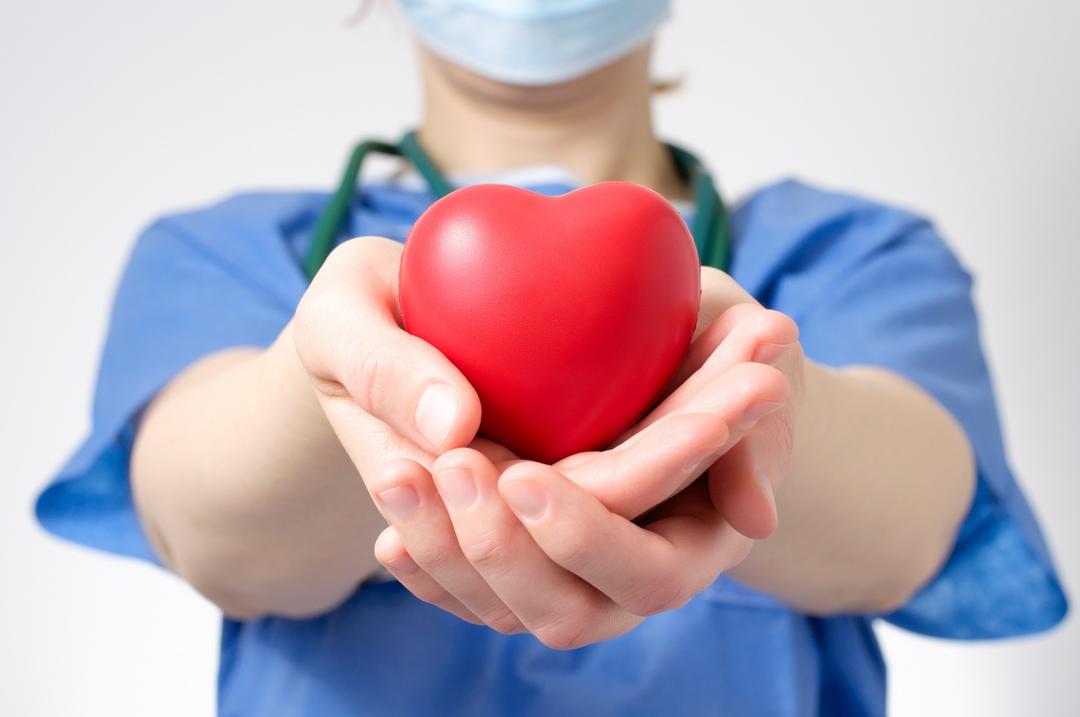 Dia Mundial do Rim relembra a importância da doação de órgãos durante a pandemia