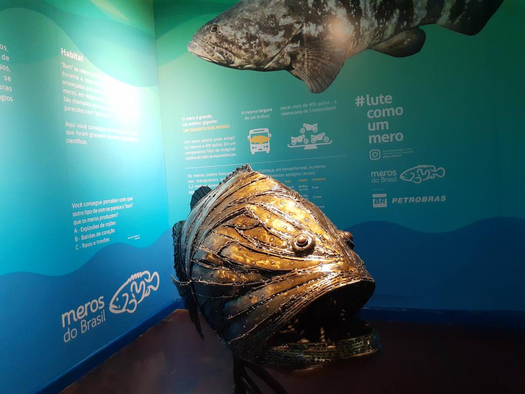 Museu de História Natural Capão da Imbuia ganha espaço dedicado à preservação da vida marinha