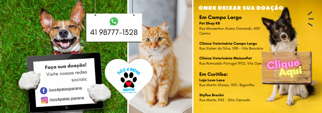 Respeito e compaixão pelos animais