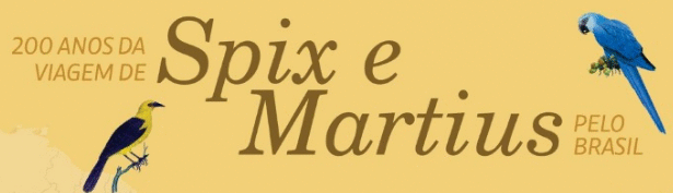 Exposição itinerante dos 200 anos da viagem de Spix e Martius chega a Curitiba